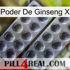 Ginseng Power X 31